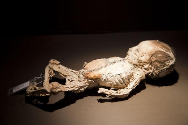 Mummified infant lying in the museum | Mummies Museum | Mexico