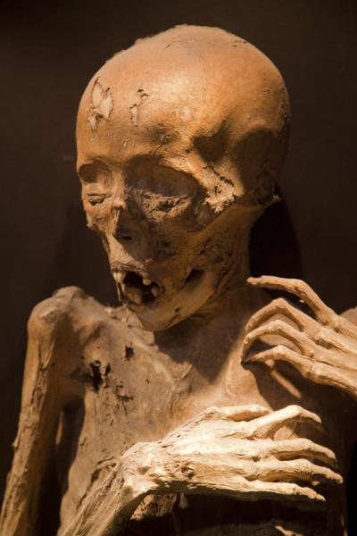 Mummy turning into a skeleton | Mummies Museum | Mexico