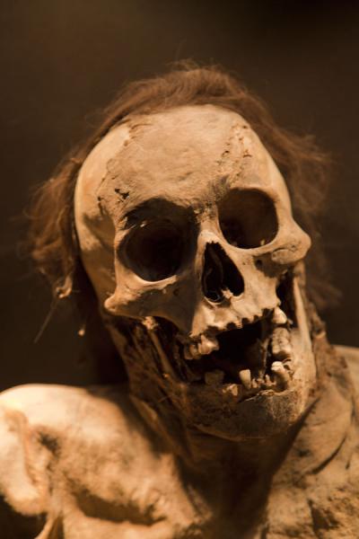 Mummy with hair still on the skull | Mummies Museum | Mexico