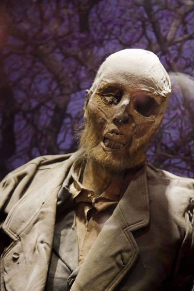 The French doctor on display in the museum | Mummies Museum | Mexico
