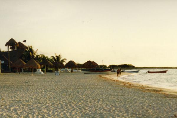 Playa del Carmen beach in the early morning | Playa del Carmen | Mexico
