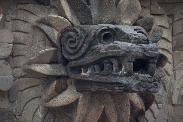 Feathered serpent head sticking out of the Temple of Quetzalcoatl, Mexico