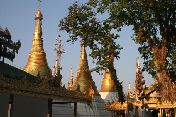 Foto van Some of the many smaller stupas at Shwedagon PagodaMyanmar - Myanmar