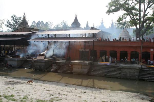 Picture of Overview of the south side of Pashupatinath cremation siteKathmandu - Nepal