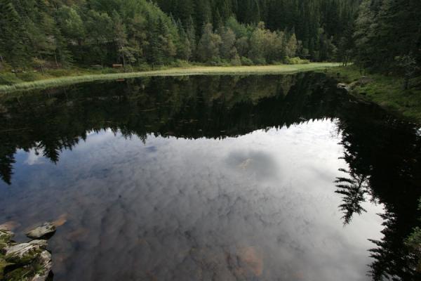 Picture of Norway (Reflection of trees and hills in small lake in the Fløyen area)