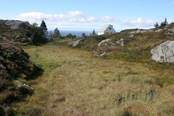 Foto de Typical vegetation and small house in the Fløyen areaBergen - Noruega