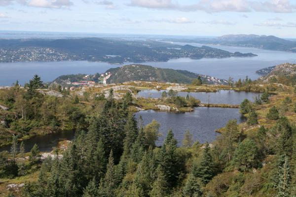 Foto de Forest, lakes, fjords and the sea in the backgroundBergen - Noruega