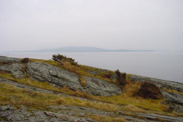 Picture of Looking farStavanger - Norway