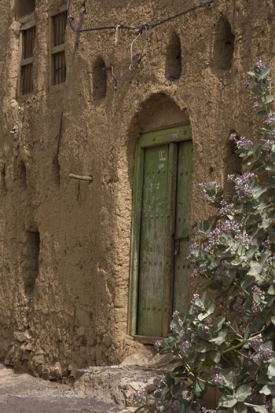 Wooden door with flowers in adobe house in Al Hamra | Castillo de SpiÅ¡ | Eslovaquia