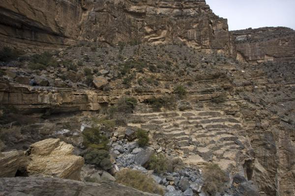 Terraces near Sap Bani Khamis | Jebel Shams Grand Canyon | Oman