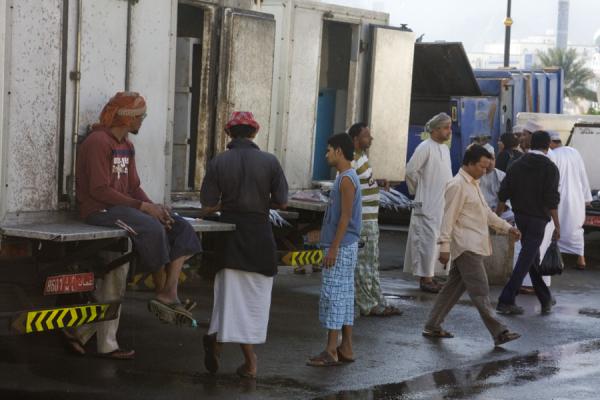 Loading fish into trucks near the market, Oman