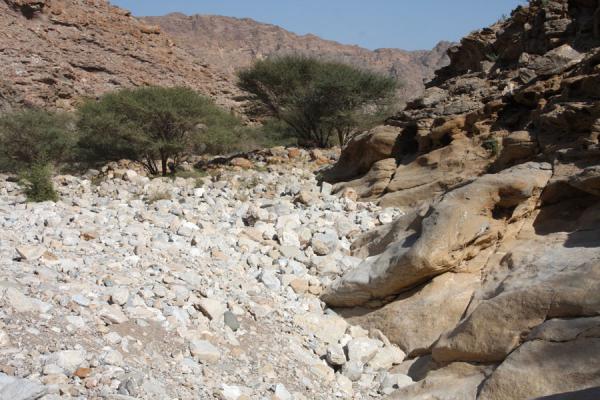 Rocks and trees in Wadi Mayh, Wadi Mayh, Oman