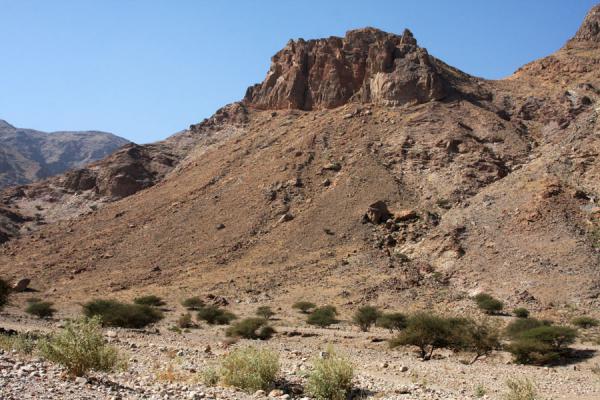 Landscape of Wadi Mayh, Wadi Mayh, Oman