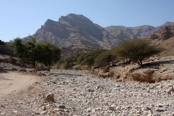 Dry riverbed in Wadi Mayh, Wadi Mayh, Oman
