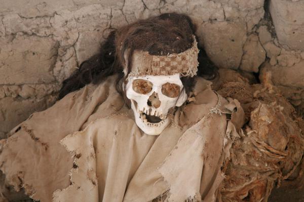 Picture of Skull with hair at Chauchilla cemeteryChauchilla - Peru