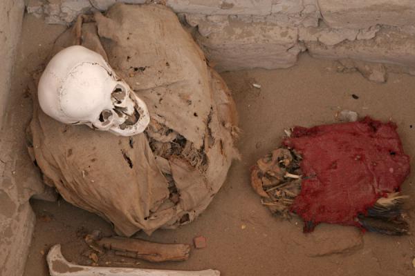 Picture of Remains of Nazcan and a parrotChauchilla - Peru