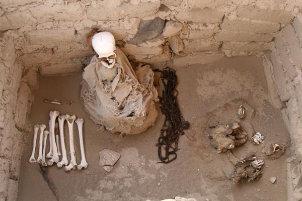 Picture of Remains of the dead at Chauchilla cemeteryChauchilla - Peru