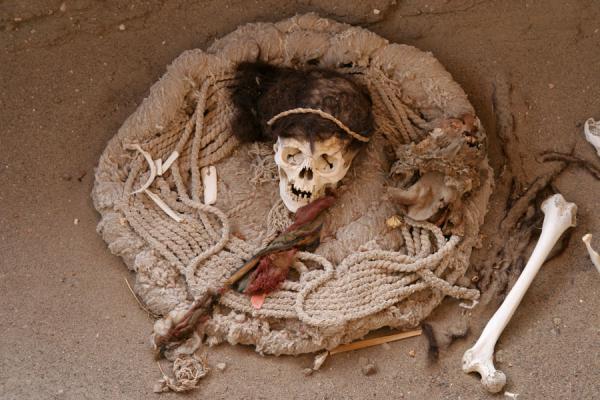 Picture of The body has disappeared over time, the skull remainsChauchilla - Peru