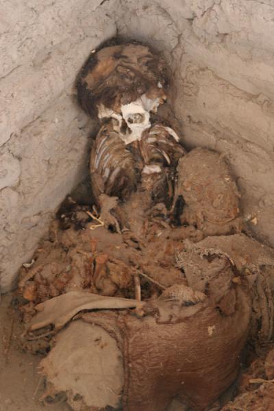 Picture of Decayed mummy at Chauchilla cemeteryChauchilla - Peru