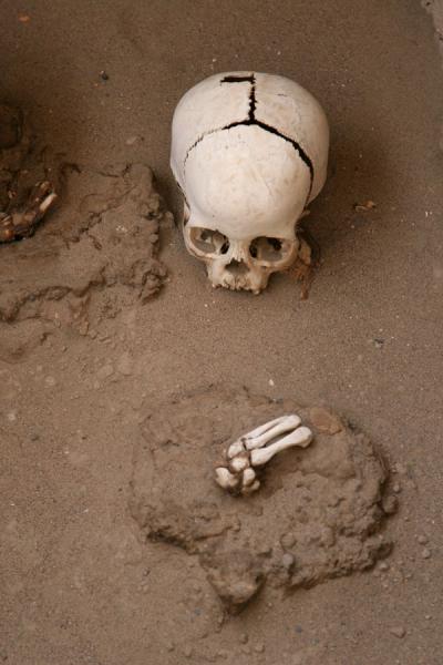 Picture of Skull and bones at Chauchilla cemeteryChauchilla - Peru