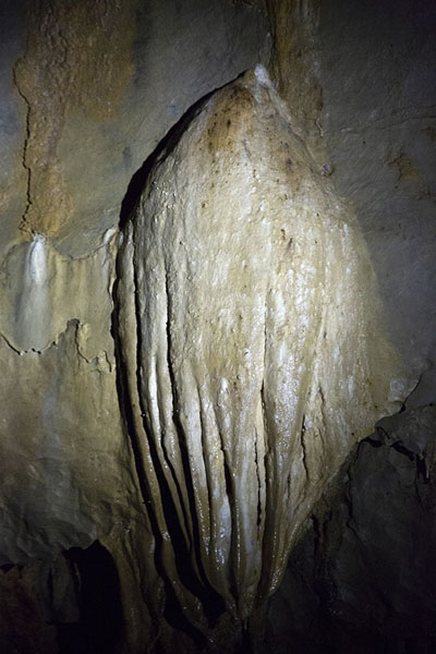 One of the many stalagtites hanging from the ceiling of the underground river | Puerto Princesa Subterranean River | Philippines