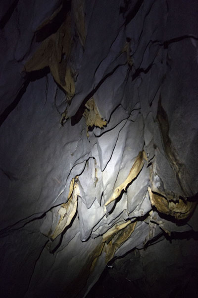 Rock formations inside the cave system of the subterranean river | Puerto Princesa Subterranean River | Philippines