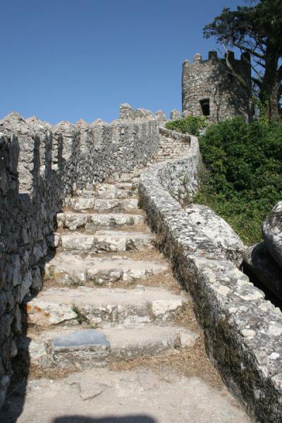 Steep stairs running up to a watchtower and tree at the Moorish Castle, Moorish Castle, Portugal