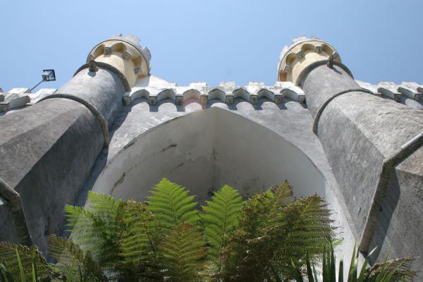 Huge arches and ferns seen from below the Palace of Pena, Portugal