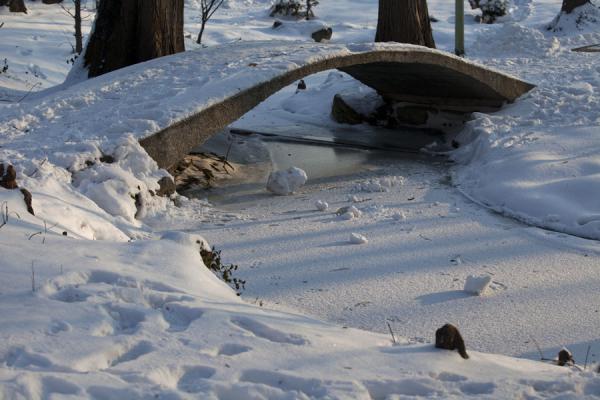 Foto van Small bridge over frozen stream in Carol ParkGeghard klooster - ArmeniÃ«
