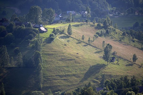 Sunlight shining on a hill with trees | Pueblos Kalibash | Rumania