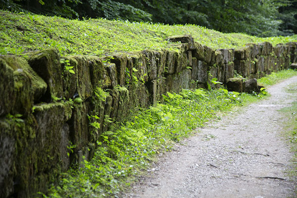 The moss-covered wall in the outer fortification, Sarmizegetusa Regia, Romania