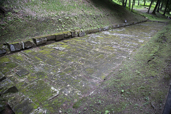 Ruins of the Dacian road between the fortification and the sacred area, Sarmizegetusa Regia, Romania
