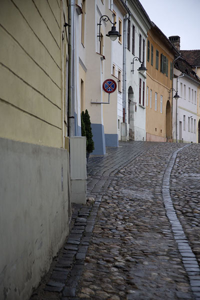Cobble-stoned street lined with colourful houses in Sibiu | Sibiu | Romania