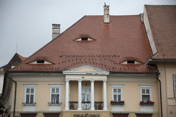 Building with the typical eyes on the main square of Sibiu | Sibiu | Romania