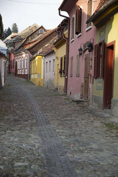 Cobble-stoned streety in Sighișoara with pastel-coloured houses | Sighișoara | Rumania