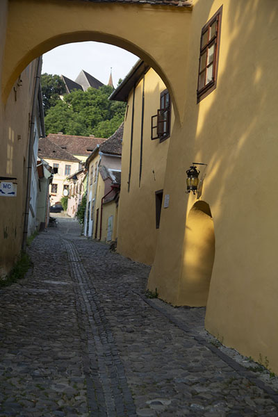 One of the cobble-stoned streets in Sighișoara | Sighișoara | Rumania