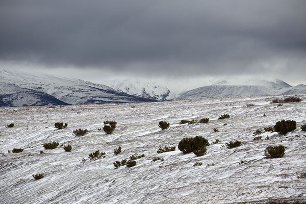 Snowy landscape on the plateau crossed by the Vulkashiki trail | Bystrinsky Nature Park | Rusland