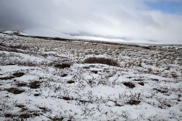 Field of snow with snow-covered mountains at the horizon | Bystrinsky Nature Park | Rusland