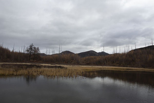 Surrounding trees and clouds reflected in Lake Ikar | Bystrinsky Nature Park | Rusland