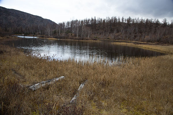 Lake Ikar can be reached after a pleasant hike through the woods | Bystrinsky Nature Park | Rusland