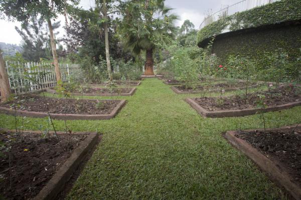 Foto de Rose Garden of the Kigali Genocide Memorial Centre - Ruanda - Africa
