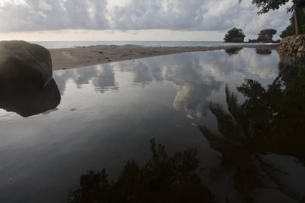 Reflection of palm trees in a pond at Anse Chastanet beach, Saint Lucia Small pool of fresh water at Anse Chastanet, reflecting the palm trees, Saint Lucia