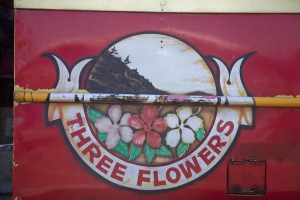 Flowers are a recurrent theme on buses in Samoa, Samoa