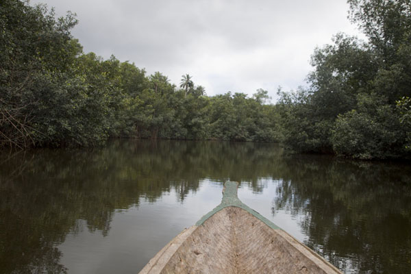 Looking ahead in one of the channels running through the mangrove forest, São Tomé and Príncipe