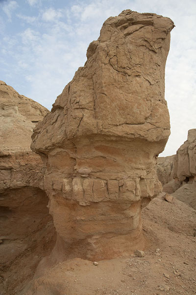 Foto di Erosion-shaped rock on Qara mountainAl Hofuf - Arabia Saudita