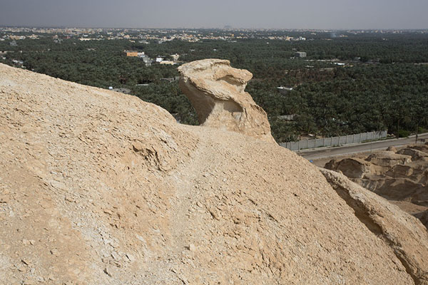 Foto di View from the top of Al Qara mountain with date palm oasis in the backgroundAl Hofuf - Arabia Saudita