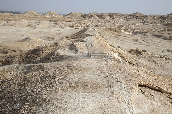 Foto di The relatively flat top of Al Qara mountainAl Hofuf - Arabia Saudita