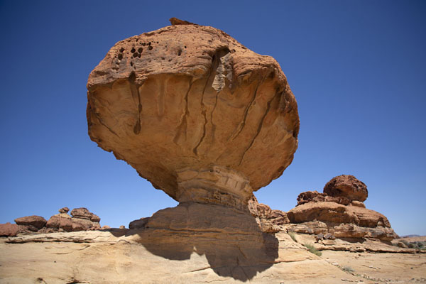 The small mushroom-shaped rock near Abu Rakah, Saudi Arabia