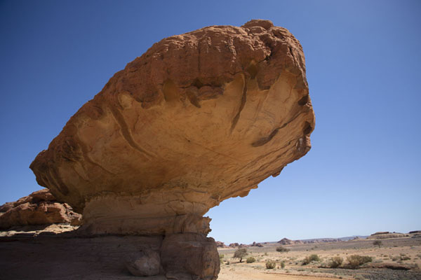 Looking up a small mushroom rock near Abu Rakah, Saudi Arabia