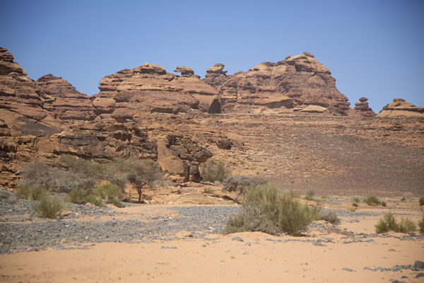 Wadi with trees and rocks near Abu Rakah, Saudi Arabia